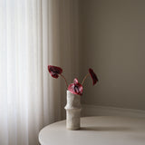 Red Anthurium Flower