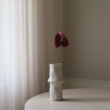 Red Anthurium Flower