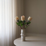 Cream King Protea Flower