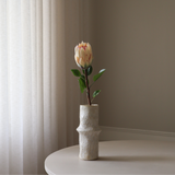 Cream King Protea Flower