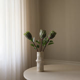 Green King Protea Flower