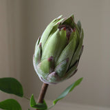 Green King Protea Flower