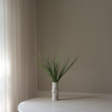 Green Ornamental Grass