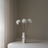 White Large Dandelion