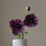 Purple Three-Headed Poppy Flower