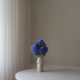 Faded Blue Hydrangea Flower