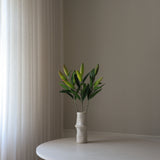 Unopened Lily Flower Bud