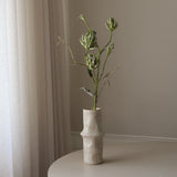 Green Three Head Dry Protea Flower