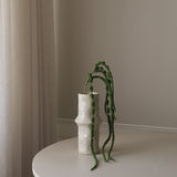 Green Amaranthus Caudatus Six Forks