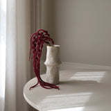 Dark Red Amaranthus Caudatus Six Forks