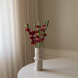 Dark Red Gladiolus Flower