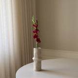 Dark Red Gladiolus Flower