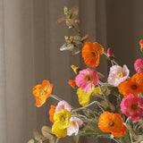 Poppy Spritz