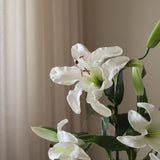 Elegant Lily Bouquet