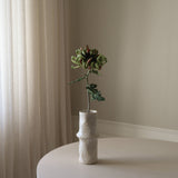 Green Chrysanthemum Flower