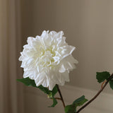 White Dahlia Flower