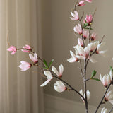 Pink Star Magnolia Branch
