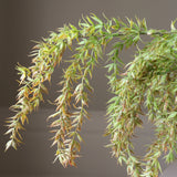 Light Green Hanging Branch with Leaves