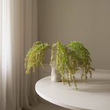 Light Green Hanging Branch with Leaves