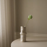 Light Green Scabiosa Seed Pod Flower