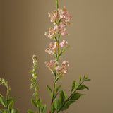 Light Pink Wild Flower