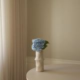 Light Blue Hydrangea Flower