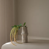 Light Green Three Forks Amaranthus Flower