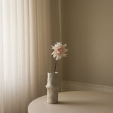 Light Pink Cactus Dahlia Flower