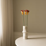 Orange Calla Lily Flower