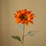 Orange Pacino Sunflower