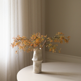 Orange Rosehip Corallo