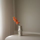 Orange Cymbidium Iridioides Orchid Flower