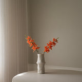 Orange Cymbidium Iridioides Orchid Flower