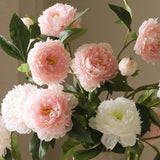 Peony Bouquet