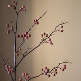 Pink Berry Branch