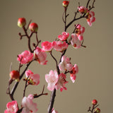 Pink Plum Blossom Branch
