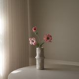 Pink Anemone Flower