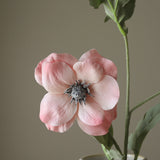 Pink Anemone Flower