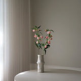 Pink Chinese Lantern Lily Flowers