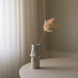 Pink Cotinus Coggygria Young Lady Flower