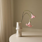 Pink Datura Stramonium Flower