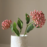 Pink Hydrangea Berry Branch