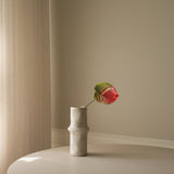 Pink Anthurium Flower