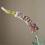 Purple Foxtail Flower