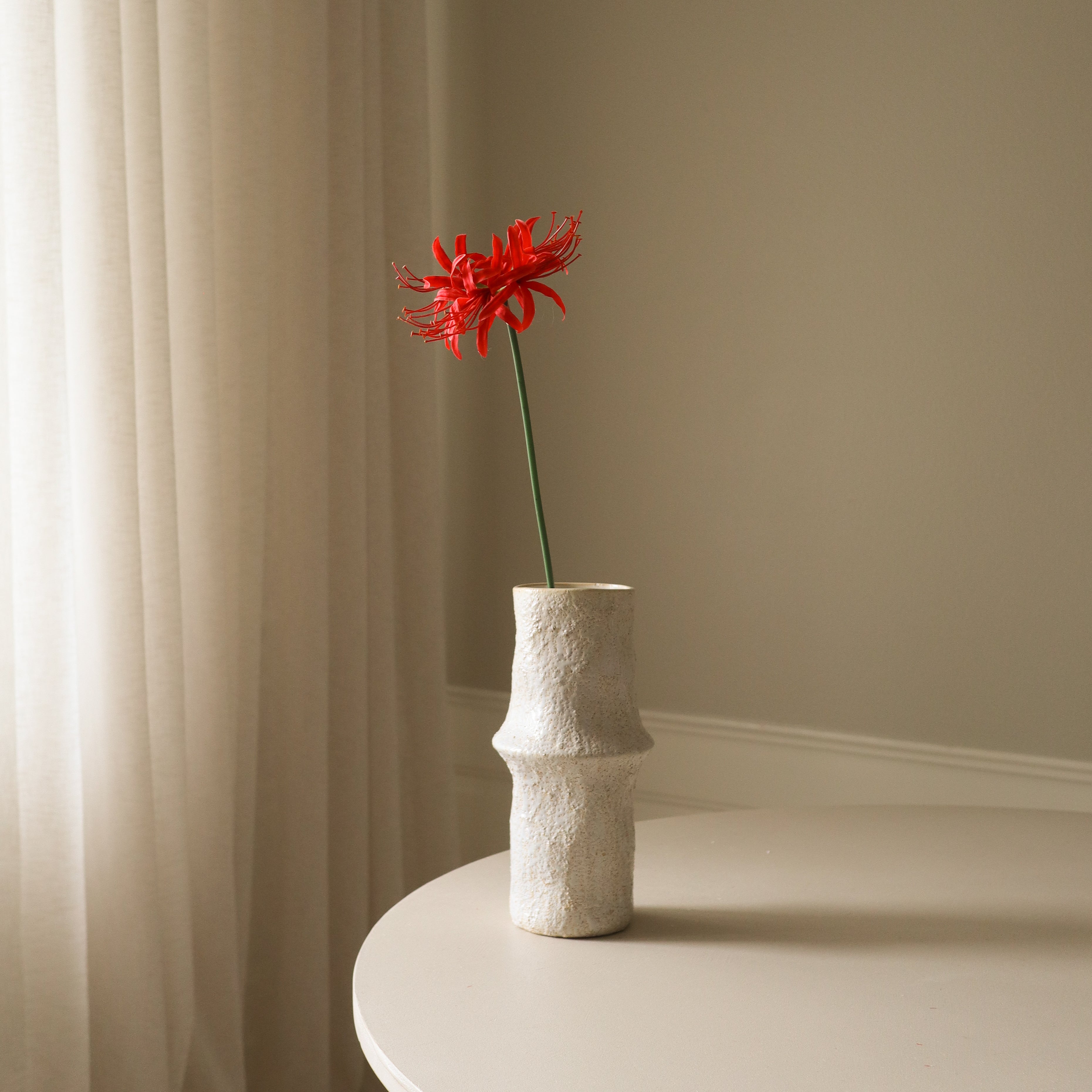 bouquet of red spider lilies Red Higanbana "Spider Lilies" Amaryllis Flower – Botané