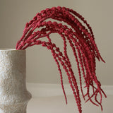 Red Amaranthus Caudatus "Dreadlocks" Flower