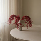 Red Amaranthus Caudatus "Dreadlocks" Flower