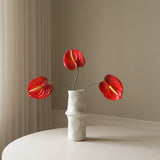 Red Anthurium Flower