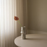 Rose Small Anthurium Flower