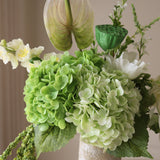 Studio Green
